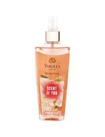 YARDLEY by Yardley