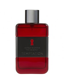 THE SECRET TEMPTATION by Antonio Banderas