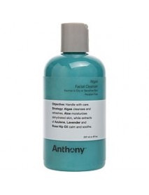 Anthony by Anthony
