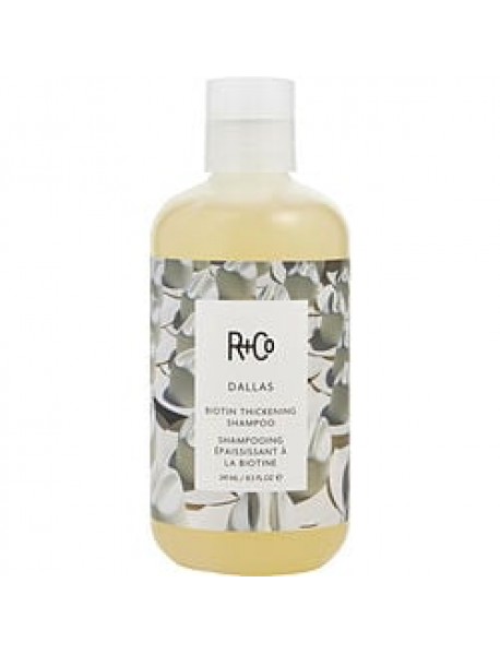 R+CO by R+Co