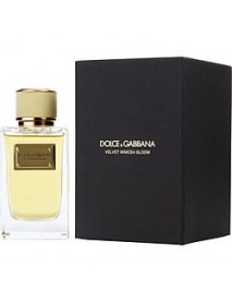 DOLCE & GABBANA VELVET MIMOSA BLOOM by Dolce & Gabbana