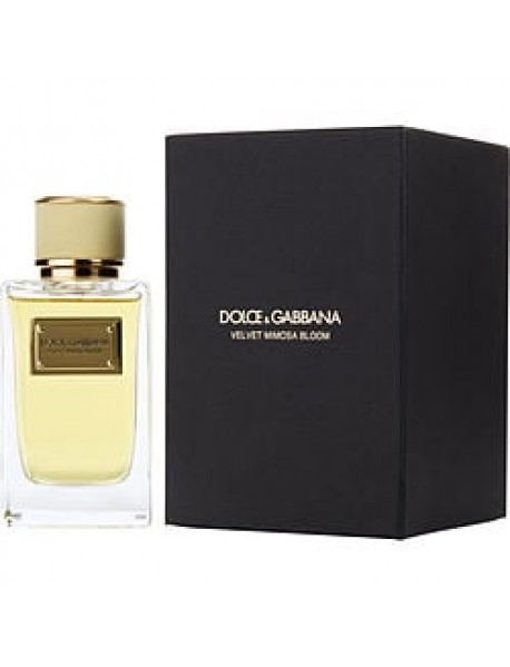DOLCE & GABBANA VELVET MIMOSA BLOOM by Dolce & Gabbana