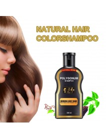 1 Pcs 200ml Grey Reverse Hair Color Polygonum Multiflorum Ginger Hair Care Hair Darkening Cleansing Shampoo