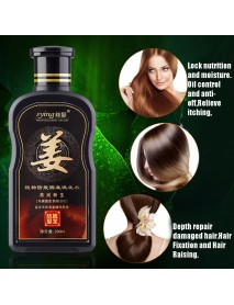 200ml Natural Ginger Shampoo Oil-Control Anti Dandruff Anti Hair Loss Hair Growth Essence
