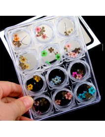 12 Color Truth Flower Nail Art Decoration 3D Dry Dried Flowers Stickers DIY Manicure Tools