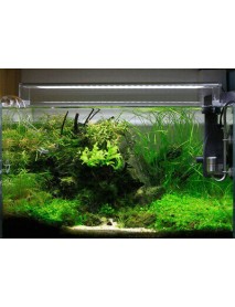 24W 40CM Chihiros A-Series White Colors Aquarium Light Fish Tank 5730 LED Lamp
