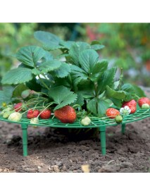 5Pcs Strawberry Plant Growing Supports Keep Strawberries Not Rot in the Rainy Day Plant Holder Tools Kit