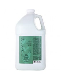BAIN DE TERRE by Bain de Terre