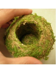 6-18cm Moss Weaved Ball Shape Flower Pot Succulent Planter Green Basket