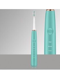Loskii PA-189 Rechargeable Ultrasonic Vibration 5 Clean Modes Toothbrush Electric Toothbrush Dental