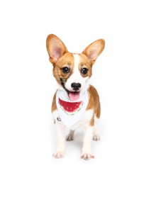 Pet Dog Cotton Personalized Collar Summer Winter Pet Bids Puppy Watermelon Collar