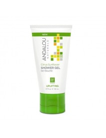 A.N CTRS SNFLWR SHWR GEL ( 6 X 1.7 OZ   )