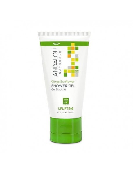 A.N CTRS SNFLWR SHWR GEL ( 6 X 1.7 OZ   )