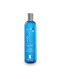 Andalou Naturals Willow Bark Pore Minimizer (1x6 Oz)