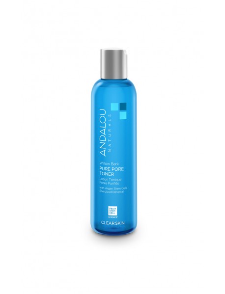 Andalou Naturals Willow Bark Pore Minimizer (1x6 Oz)