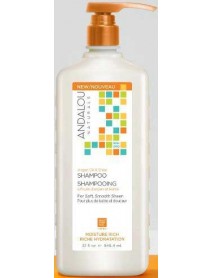 A.N ARGAN OIL SHEA SHAMP ( 1 X 32 OZ   )