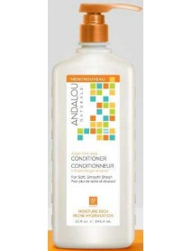 A.N ARGAN OIL SHEA COND ( 1 X 32 OZ   )