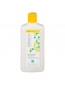 Andalou Naturals Healthy Shine Sunflower & Citrus Shampoo (1x11.5 Oz)