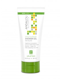 A.N CIT SNFLWR SHWR GEL  ( 1 X 8.5 OZ   )