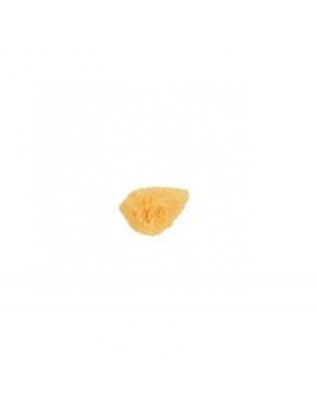 BASS COSMETIC SEA SPONGE ( 1 X 1 CT   )