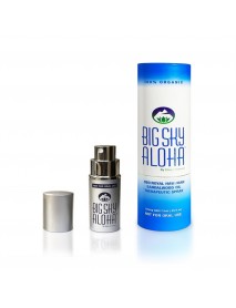 BGSALO SNDLWD THERA SPRY ( 1 X 0.25 OZ   )