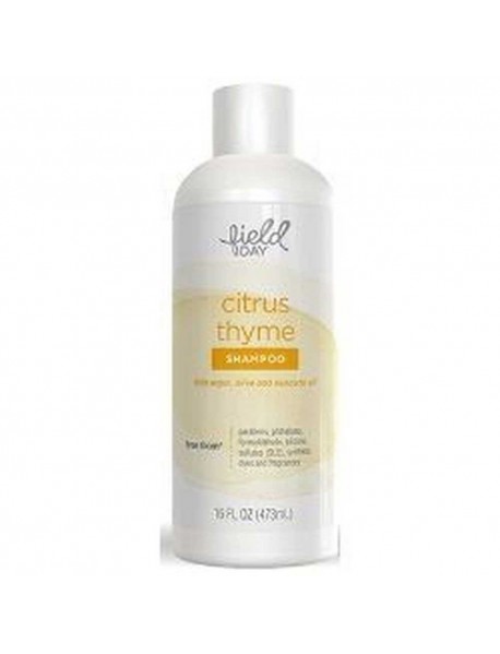 FD SHAMPOO CITRUS THYME ( 6 X 16 OZ   )