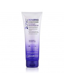 GIO 2CHIC COND BRY CNUT ( 1 X 8.5 OZ   )