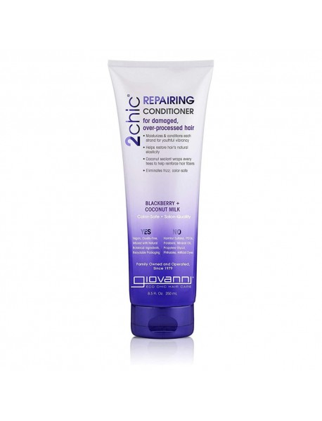 GIO 2CHIC COND BRY CNUT ( 1 X 8.5 OZ   )