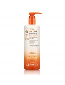 GIO 2CHIC VOL SHMP VALUE ( 1 X 24 OZ   )