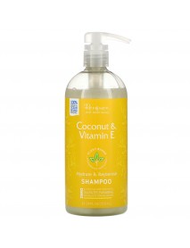 RENP CCNUT VIT E SHAMPOO ( 1 X 24 OZ   )