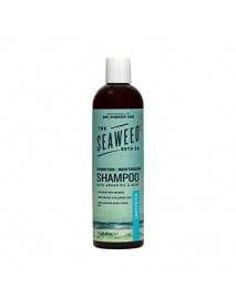 SBC SHAMP MOIST UNSCNT ( 1 X 12 OZ   )