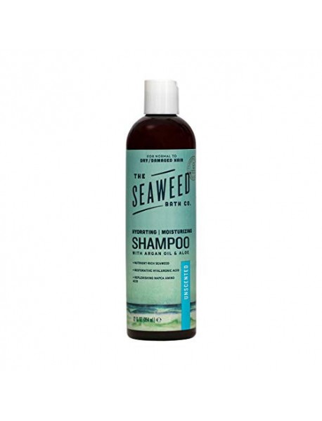 SBC SHAMP MOIST UNSCNT ( 1 X 12 OZ   )
