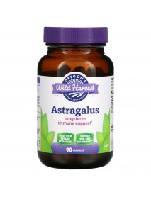 Oregon's Wild Harvest Astragalus (1x90VCAP)