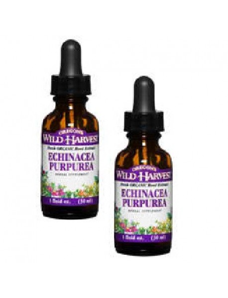 Oregon's Wild Harvest Ech Purpurea Root (1x1OZ )