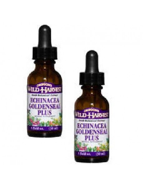 Oregon's Wild Harvest Echin/Gldnsl Plu (1x1OZ )