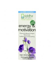 SIDDA ENERGY&MOTIVATION ( 1 X 1 OZ   )
