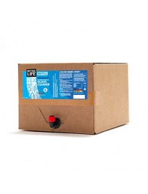 B.L. GLASS CLNR UNSCNT   ( 1 X 5 GAL  )