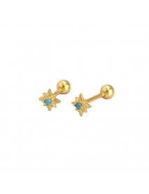 Mini CZ Eight Pointed Star Screw 925 Sterling Silver Stud Earrings