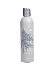 ABBA by ABBA Pure & Natural Hair Care