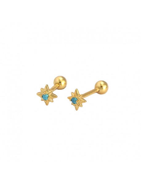 Mini CZ Eight Pointed Star Screw 925 Sterling Silver Stud Earrings